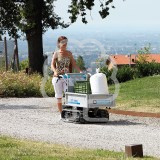 Motocarriola Bertolini BTR 340 H